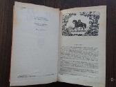 Main Ridas Raitelis be galvos _ Bсадник без головы - nuotraukos Nr. 8