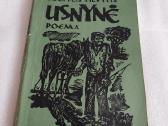 Usnynė