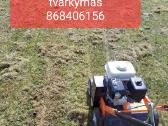 Žolės pjovimas. Aplinkos tvarkymo darbai. - nuotraukos Nr. 5