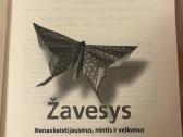 G.kawasaki - žavesys - nuotraukos Nr. 2