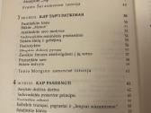 G.kawasaki - žavesys - nuotraukos Nr. 4