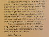 S. Parulskis " Sraigė su beisbolo lazda ". - nuotraukos Nr. 8