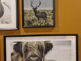 Paveikslai - nuotraukos Nr. 5