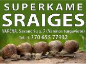 Superkame Sraiges Varėna