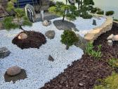 Bonsai medeliai, formuotos pušys, spygliuočiai, - nuotraukos Nr. 12