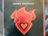 Lietuviškos Vinilinės Plokštelės - nuotraukos Nr. 11