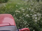 Žolės pjovimas, mulčiavimas, sklypų priežiūra - nuotraukos Nr. 12