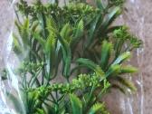 Akvariumo dirbtiniai augalai - nuotraukos Nr. 2