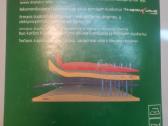 Thermo apatiniai +apsauga nuo vejo - nuotraukos Nr. 4