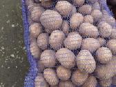 Parduodame Bulves