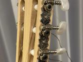 Classic guitar Kremona Fiesta S65c-gg - nuotraukos Nr. 2