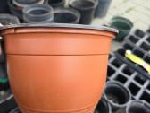 Labai daug plastikinių vazonų - nuotraukos Nr. 9