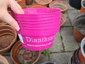 Labai daug plastikinių vazonų - nuotraukos Nr. 12