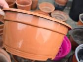 Labai daug plastikinių vazonų - nuotraukos Nr. 13