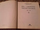 Knyga Lietuvių dailės istorija - nuotraukos Nr. 10