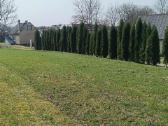 Parduodamas 19 a. Žemės sklypas Telšių r. - nuotraukos Nr. 12