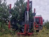Didelių medžių persodinimas palankiausia kaina! - nuotraukos Nr. 3