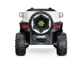 Nauji visureigiai Buggy elektromobiliai - nuotraukos Nr. 18
