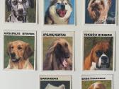 Pedigree Šuniuku Kolekcines korteles 8vnt.vintazas
