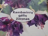 Trys knygos apie kambarines, šiltnamių gėles, tulp