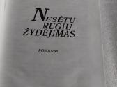 Nesėtų rugių žydėjimas - nuotraukos Nr. 2