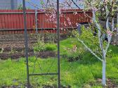 Vijoklinių augalų laikiklis Corten Plienas