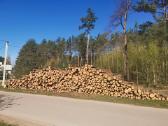 Malkos skaldytos ar kalademis, Kokybiškos sausos. - nuotraukos Nr. 15