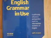 Knygos R. Murphy "English Grammer in use"