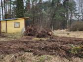 Sklypu Tvarkymas, šakų Išvežimas,krūmų pjvm.24/7 - nuotraukos Nr. 9