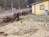 Sklypu Tvarkymas, šakų Išvežimas,krūmų pjvm.24/7 - nuotraukos Nr. 10