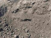 Žvyras smelis juodzemis sklada augalinis gruntas - nuotraukos Nr. 11