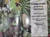 Kambarinių augalų žinynas - nuotraukos Nr. 2