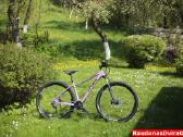 Naujas 29 Cross Causa Sl3 44cm - nuotraukos Nr. 3