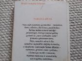 Noros laivas Mary Lou Rich - nuotraukos Nr. 2
