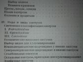 1349. Колючее Чудо Урбан А. - nuotraukos Nr. 6