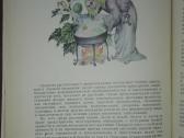 1350. Целебные Кладовые Природы Стекольников Л. И - nuotraukos Nr. 7