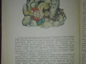 1350. Целебные Кладовые Природы Стекольников Л. И - nuotraukos Nr. 8