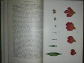 1354. Augalo Gyvenimas Timiriazevas K. - nuotraukos Nr. 2