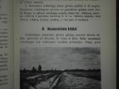 1365. Žalienos 1942 m. antikvarinė-kolekcinė - nuotraukos Nr. 3