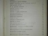 1374. Gyvoji Gamta Ir Mes Šivickis P. - nuotraukos Nr. 3