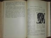 1374. Gyvoji Gamta Ir Mes Šivickis P. - nuotraukos Nr. 6