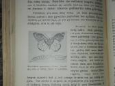 1374. Gyvoji Gamta Ir Mes Šivickis P. - nuotraukos Nr. 8