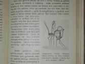 1374. Gyvoji Gamta Ir Mes Šivickis P. - nuotraukos Nr. 9