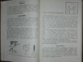 1375. Biologija Ivanauskas T. - nuotraukos Nr. 2