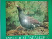1384. Бярэзiнскi Запаведнiк