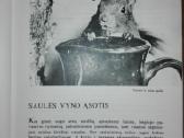 1386. Laiškai Iš Bebrų Upelio Grudzinskas L. - nuotraukos Nr. 3