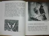 1386. Laiškai Iš Bebrų Upelio Grudzinskas L. - nuotraukos Nr. 4