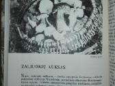 1386. Laiškai Iš Bebrų Upelio Grudzinskas L. - nuotraukos Nr. 6