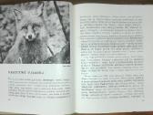 1387. Laiškai Iš Elnių Miško Grudzinskas L. - nuotraukos Nr. 6