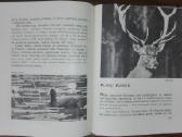 1387. Laiškai Iš Elnių Miško Grudzinskas L. - nuotraukos Nr. 9